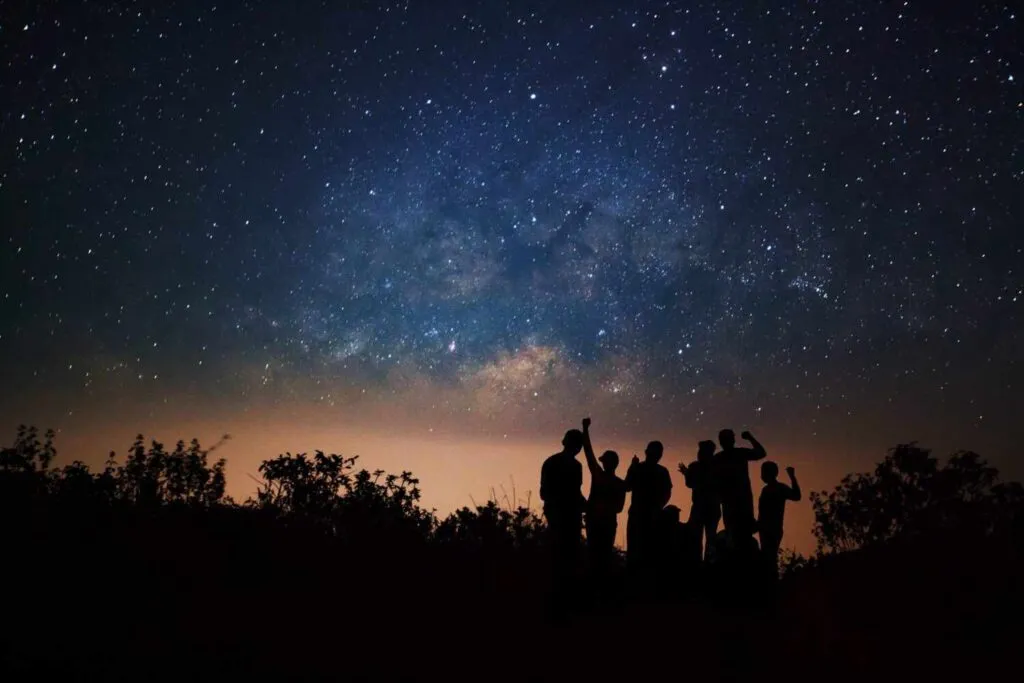 Silhouette of a group of people looking up at a starry night sky.